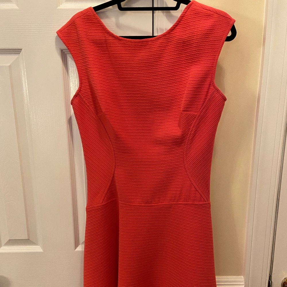 Julia Jordan Pink Stretch Dress
